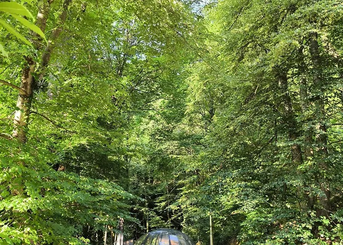 Le Perchoir Des Pyrénées Séjour chez l'habitant *